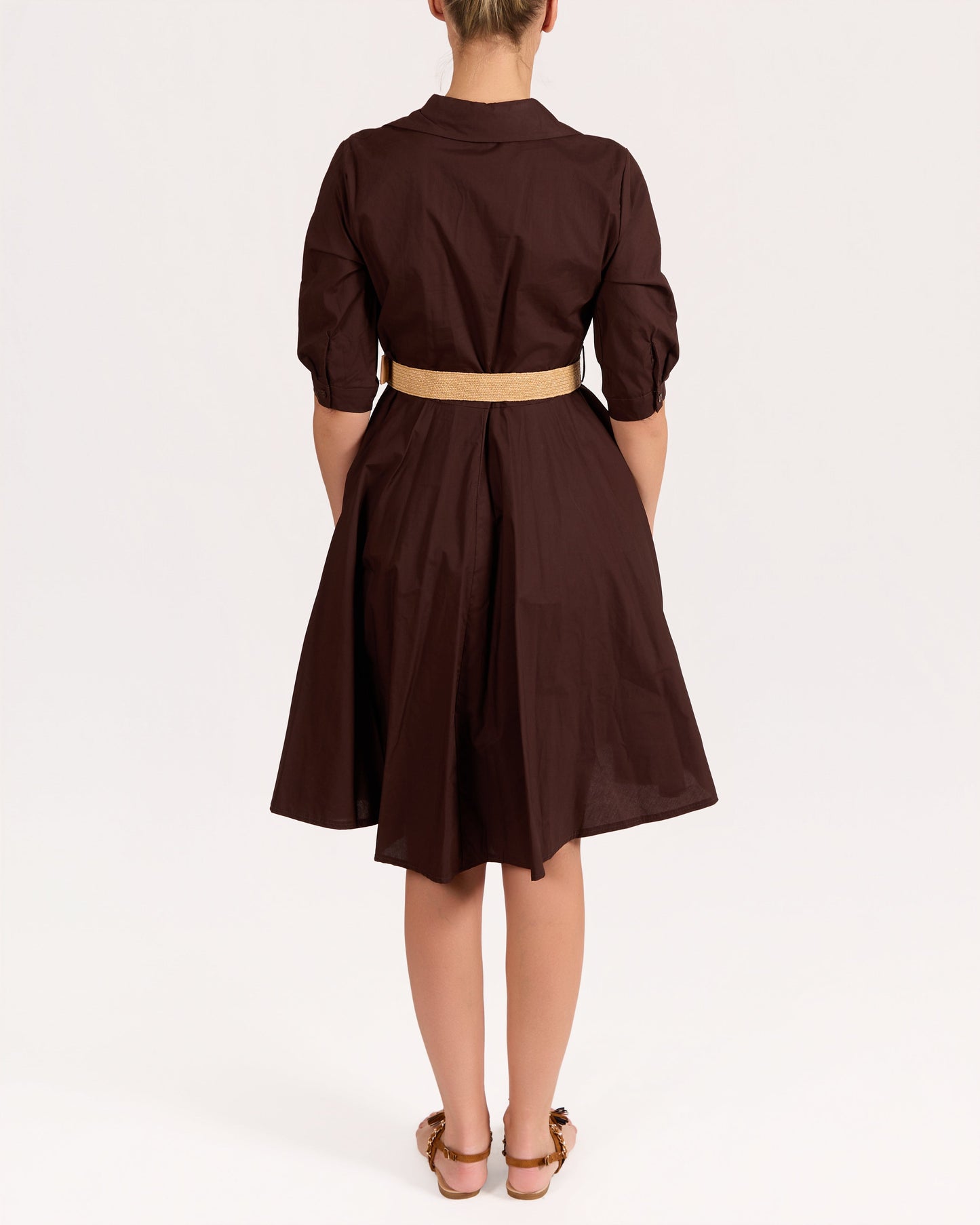Espresso Button Front Structured Collar Belted Dress