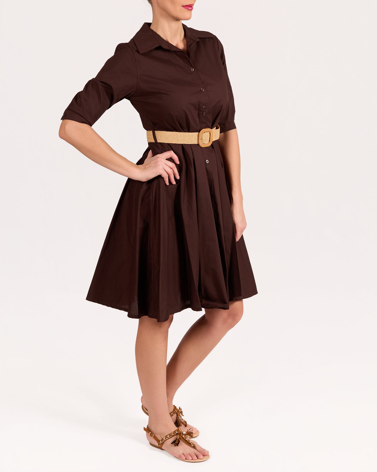 Espresso Button Front Structured Collar Belted Dress