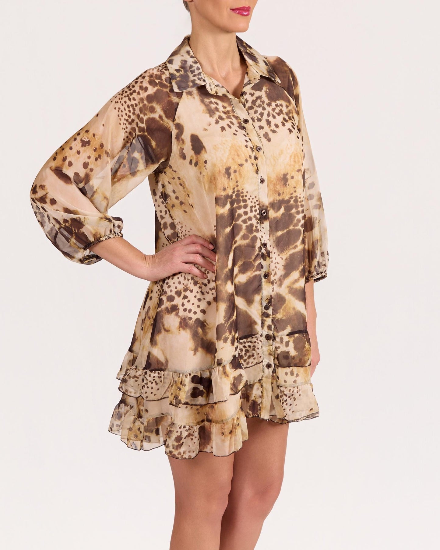 Espresso Button Front Animal Print Lined Long Sleeve Dress